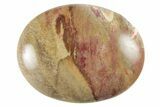 1.8" Petrified Wood Pocket Stones  - Photo 4